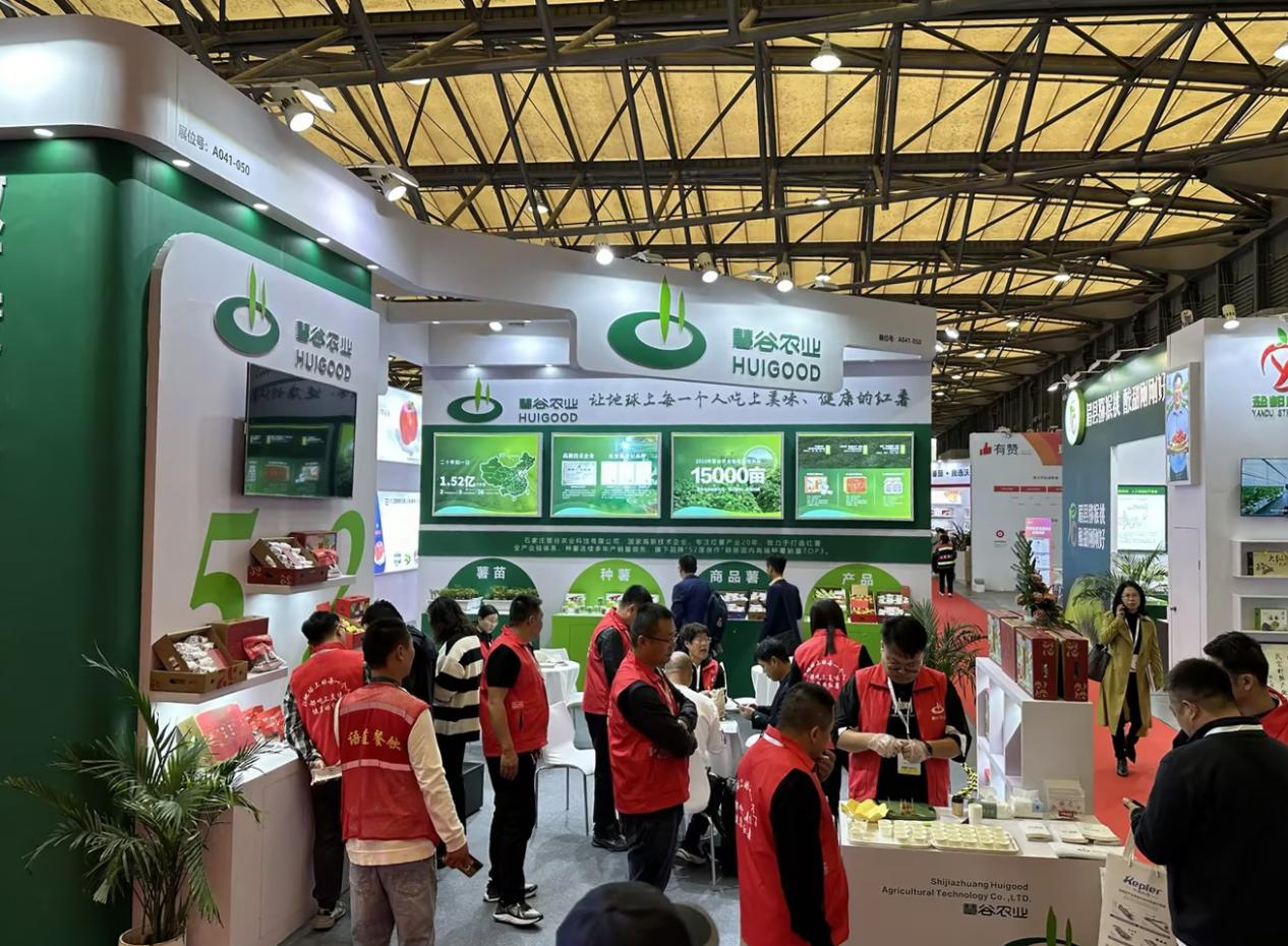 Bodog����-�����ɾͷǷ�,����Ʒ������