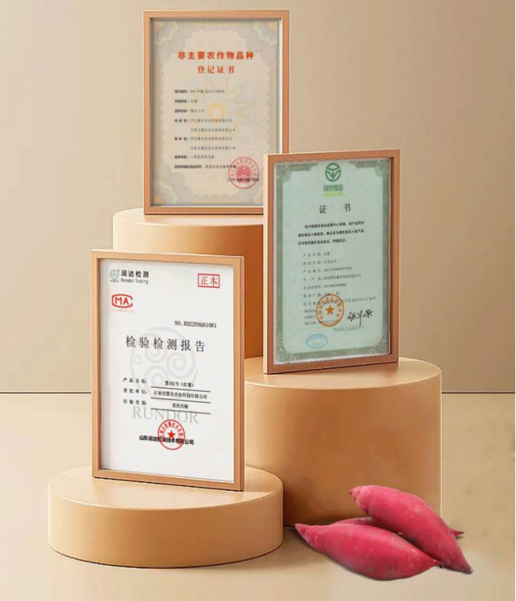 Bodog����-�����ɾͷǷ�,����Ʒ������