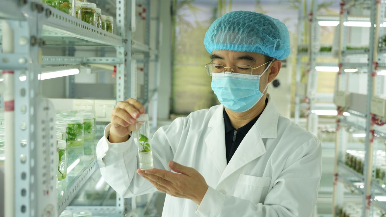 Bodog����-�����ɾͷǷ�,����Ʒ������