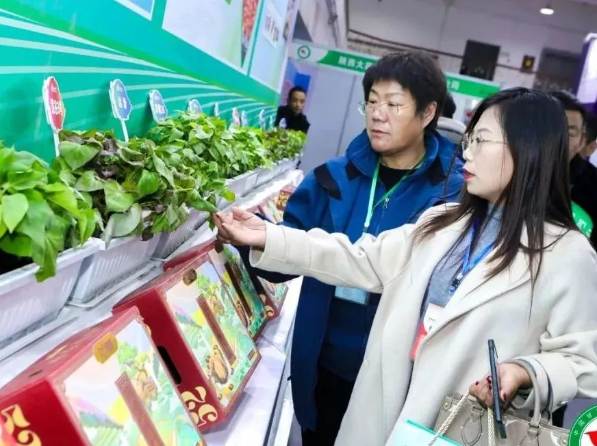 Bodog����-�����ɾͷǷ�,����Ʒ������