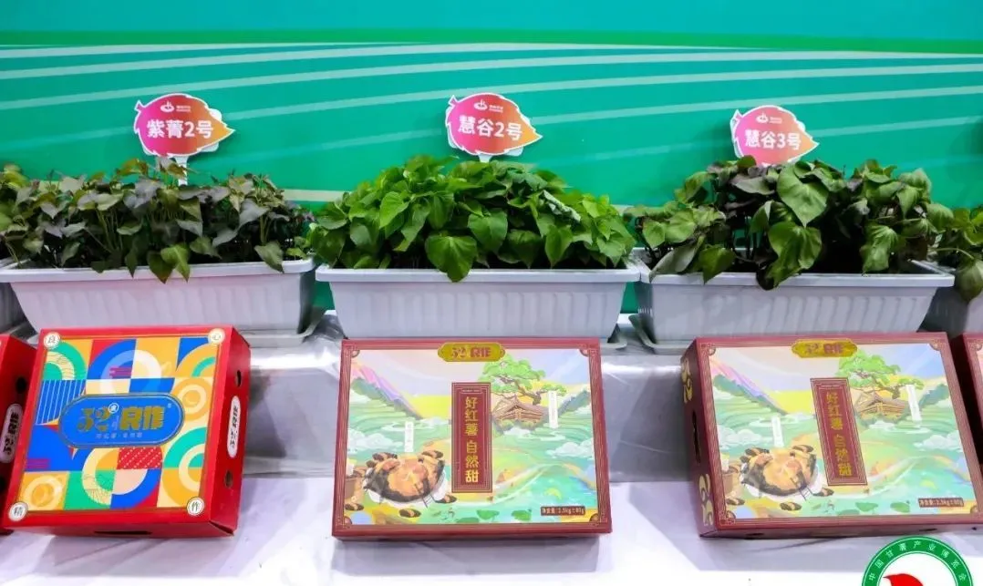 Bodog����-�����ɾͷǷ�,����Ʒ������