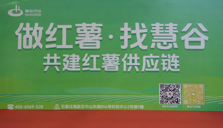 Bodog����-�����ɾͷǷ�,����Ʒ������